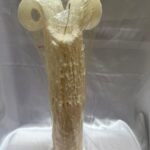 Velón de Sebo